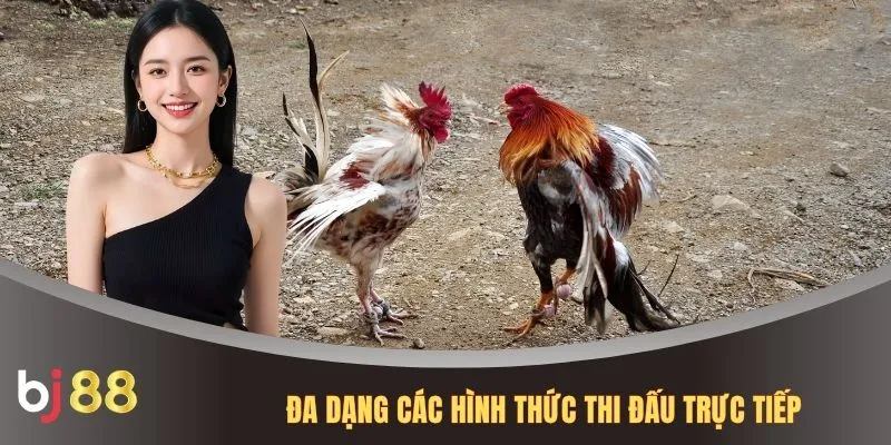 Đa dạng các hình thức thi đấu trực tiếp