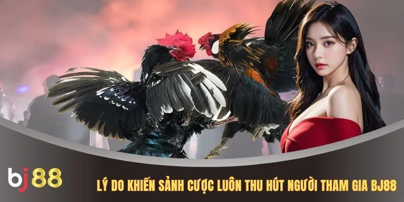 Lý do khiến sảnh cược luôn thu hút người tham gia BJ88